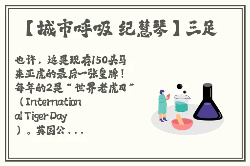顶级西方大但人文艺术